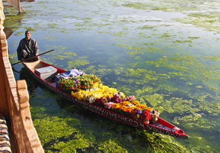 Chandigarh to Srinagar Trip by Urbania Traveller